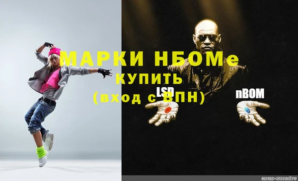 индика Баксан