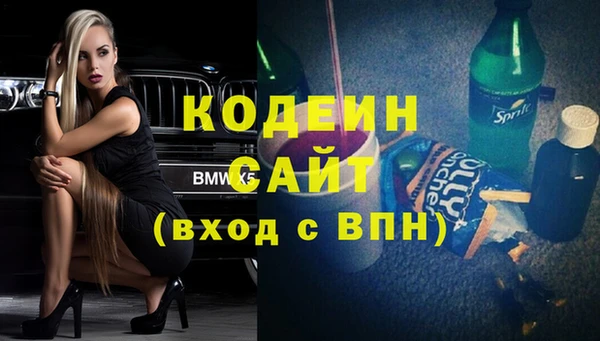 индика Семёнов