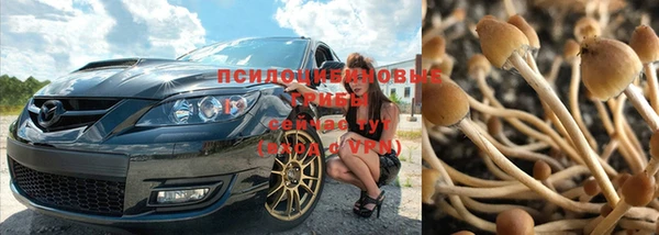 альфа пвп Армянск