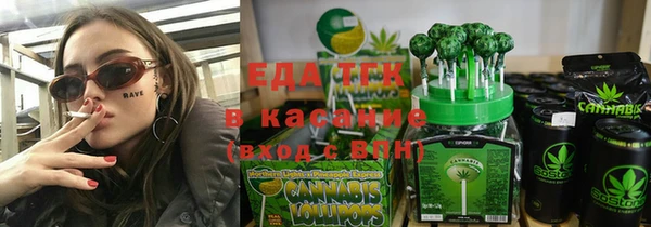 индика Баксан