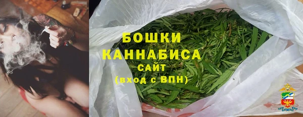 прущие грибы Семилуки