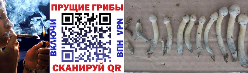 Псилоцибиновые грибы Magic Shrooms  Черемхово 